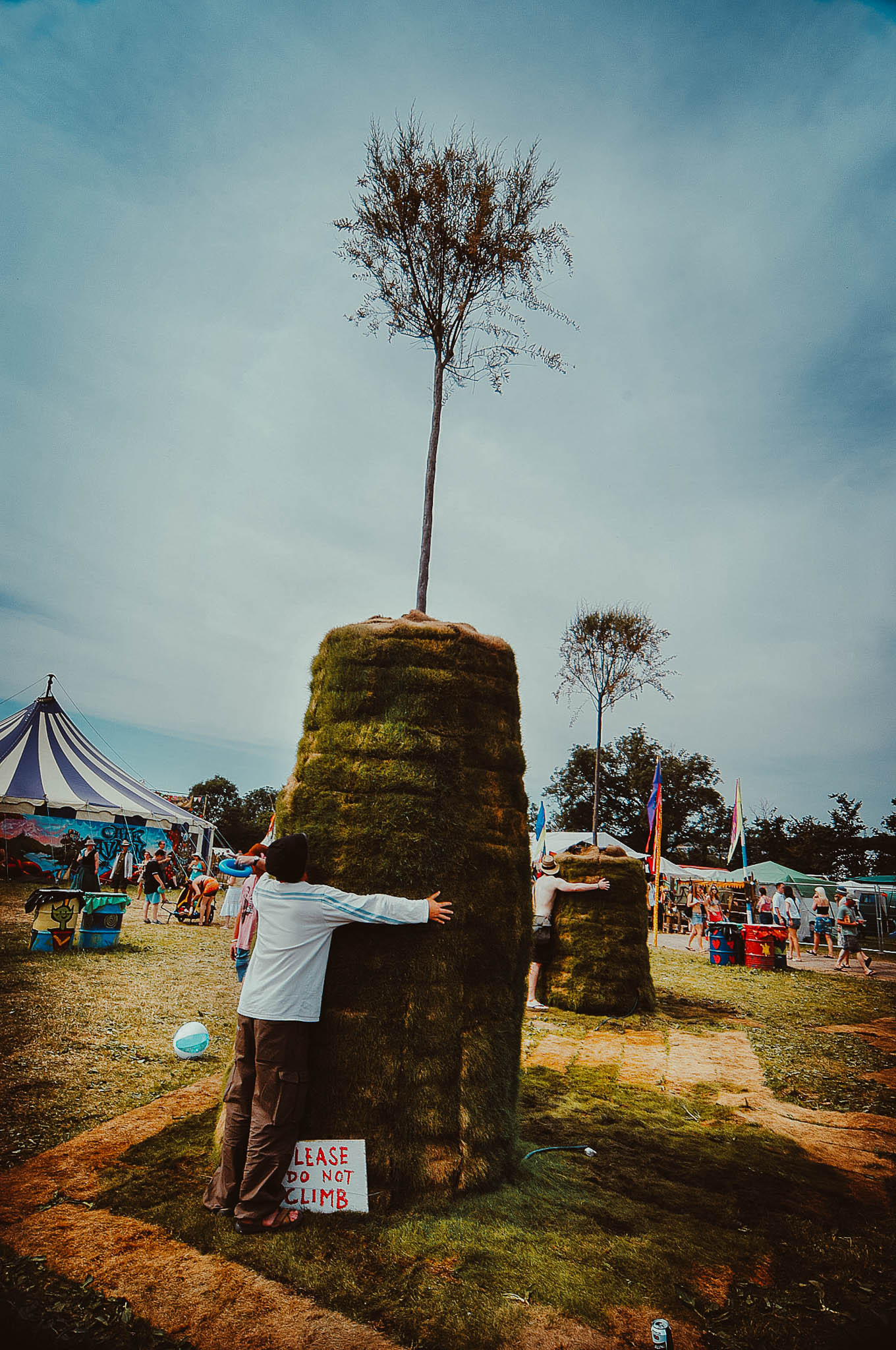 Tree-hugging at Glastonbury Festival