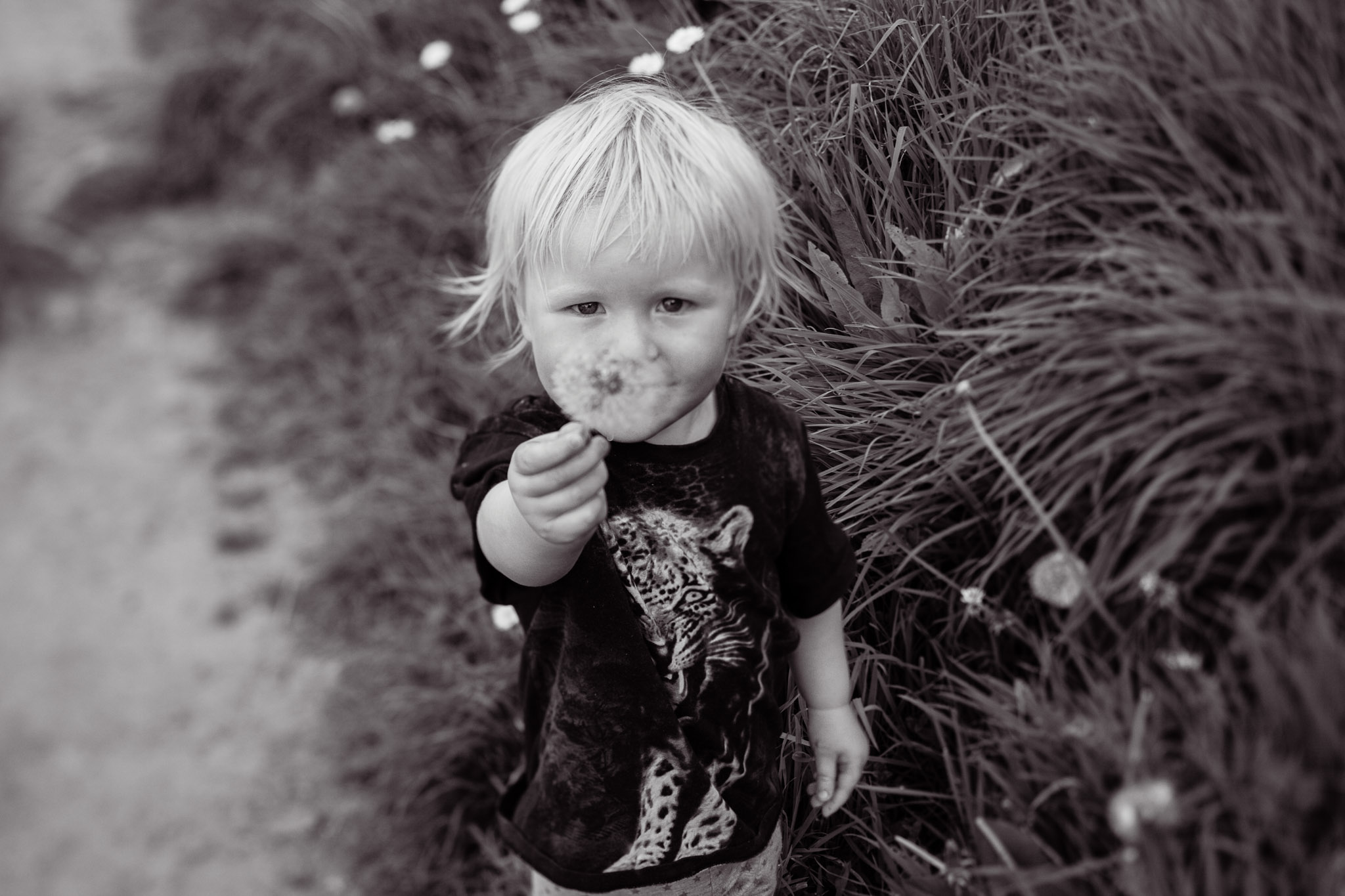 Family Life | Normandy