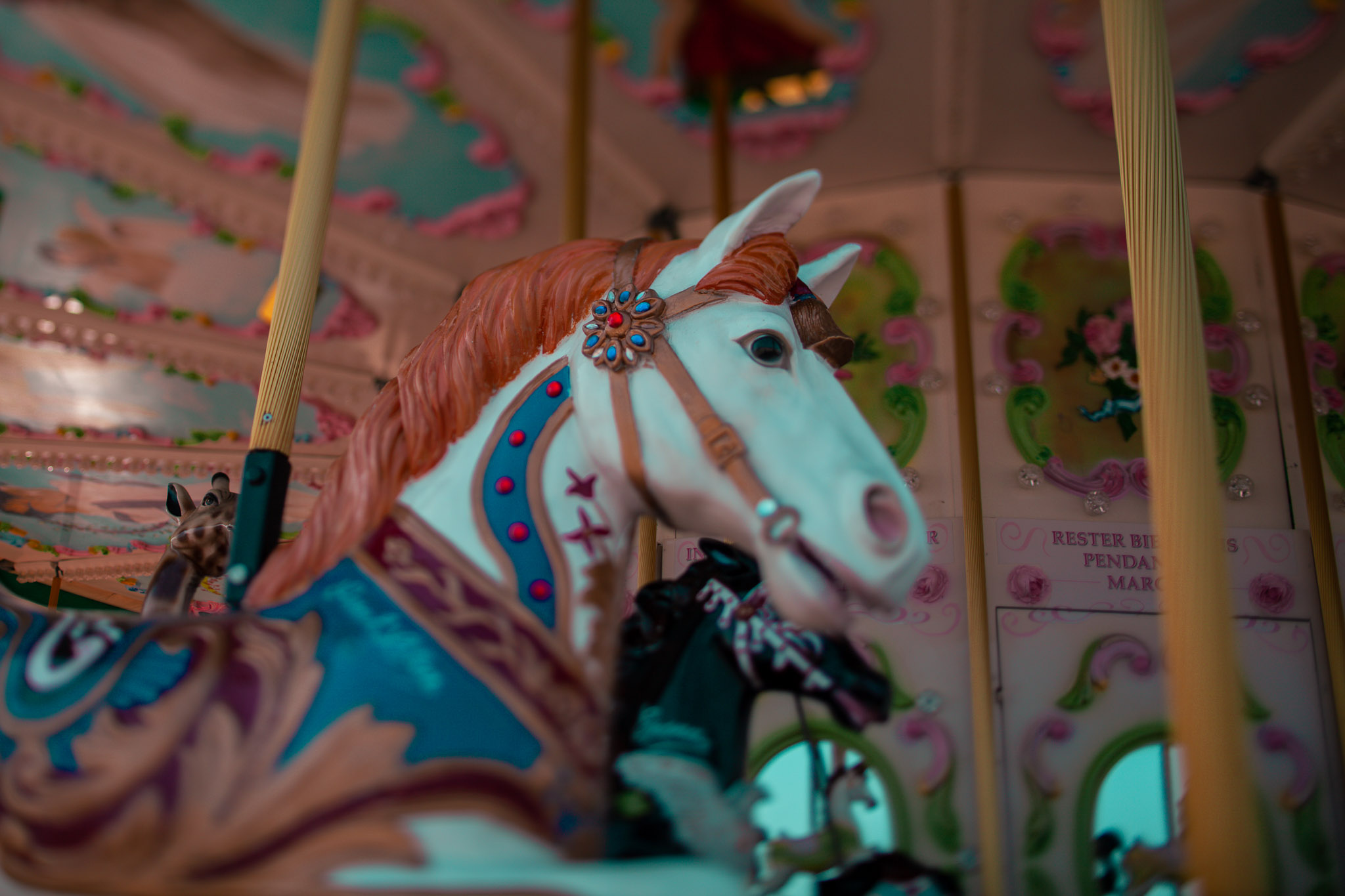 Family Life | Normandy