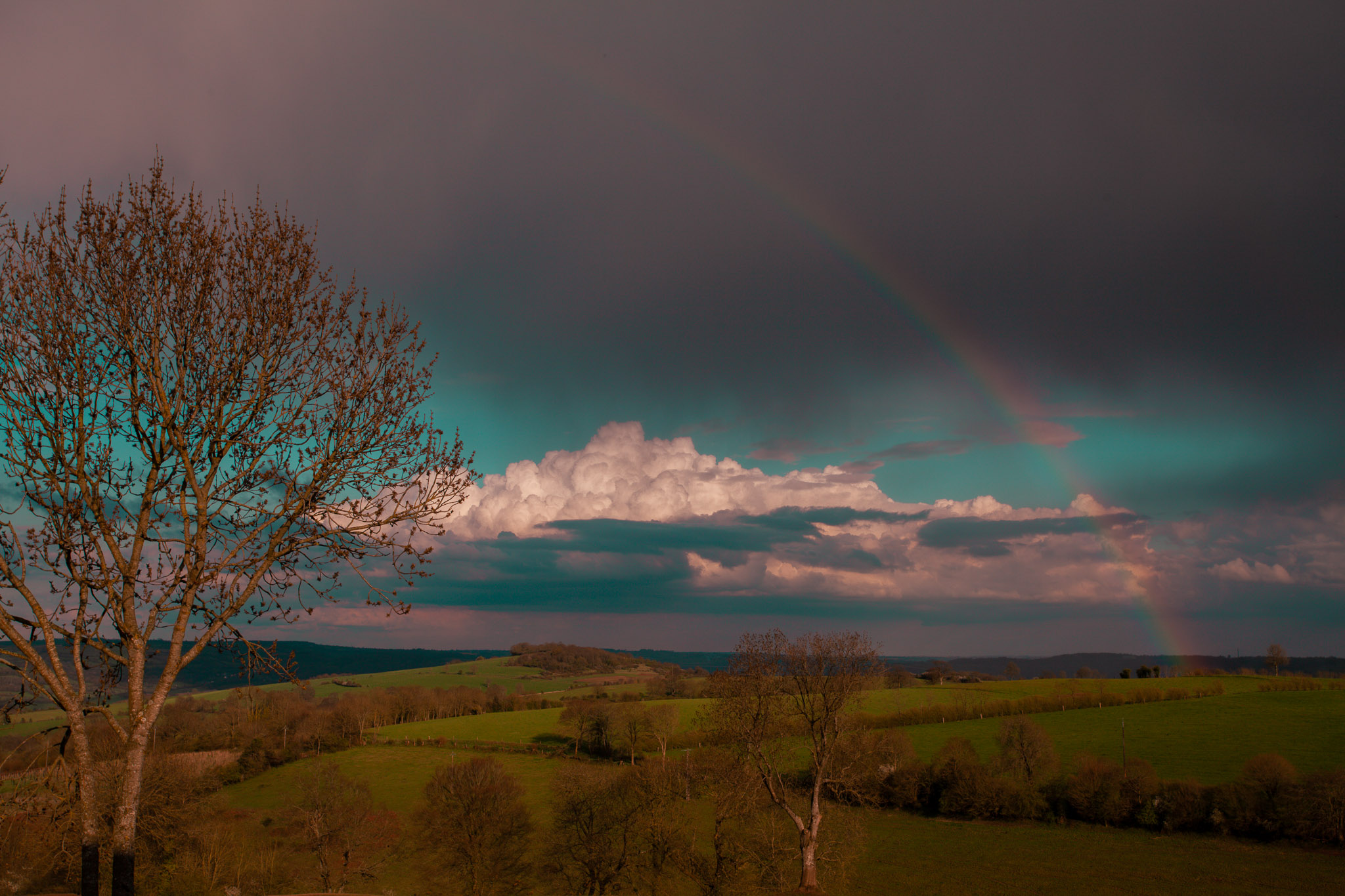 Family Life | Normandy