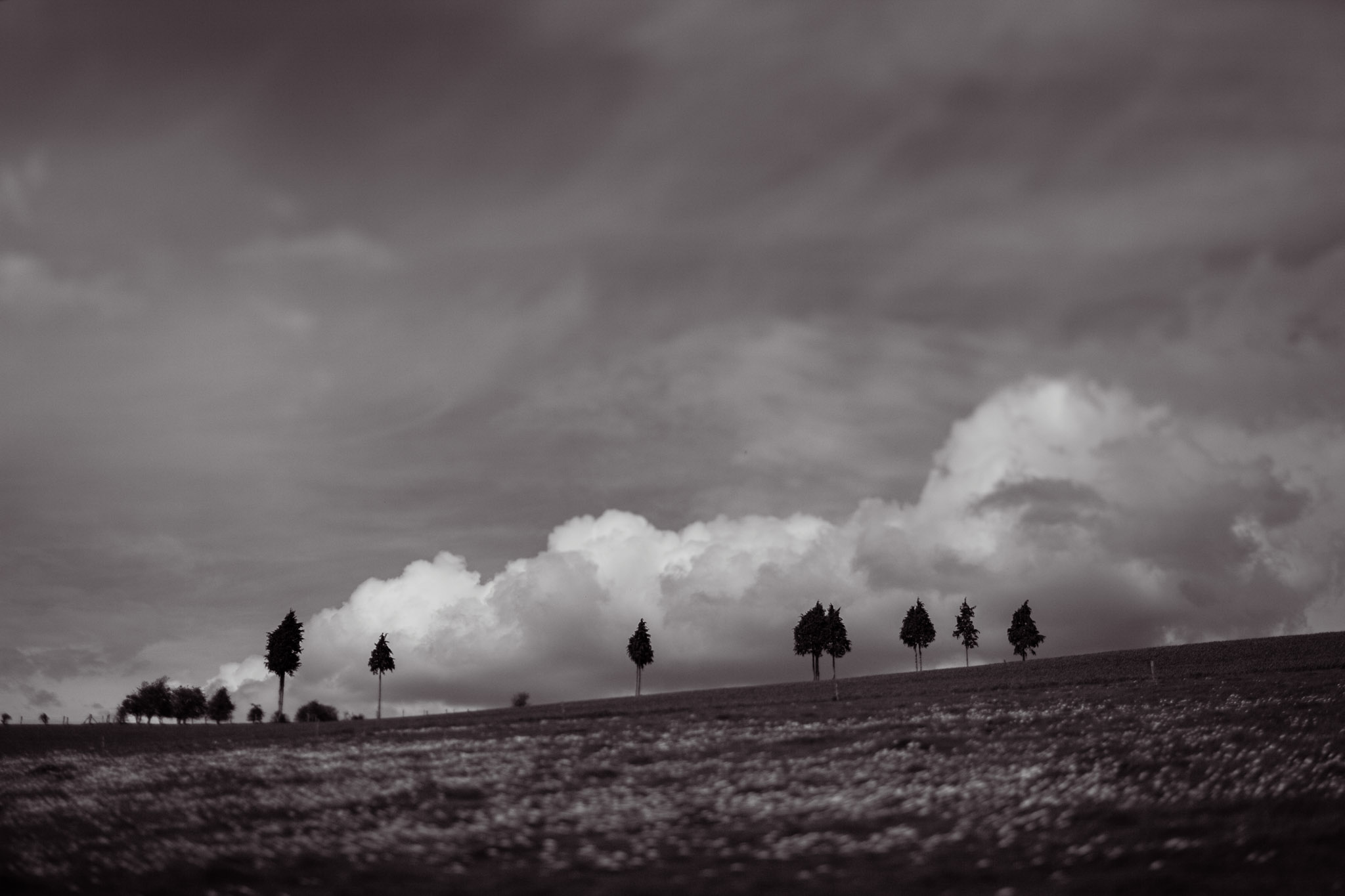 Family Life | Normandy