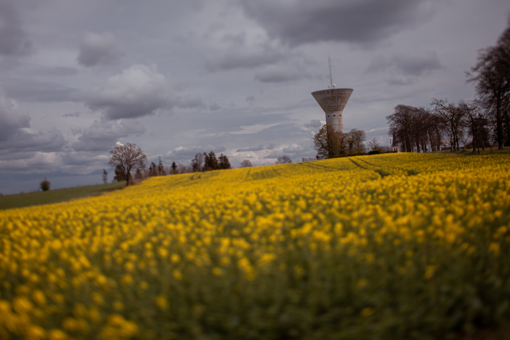 Family Life | Normandy