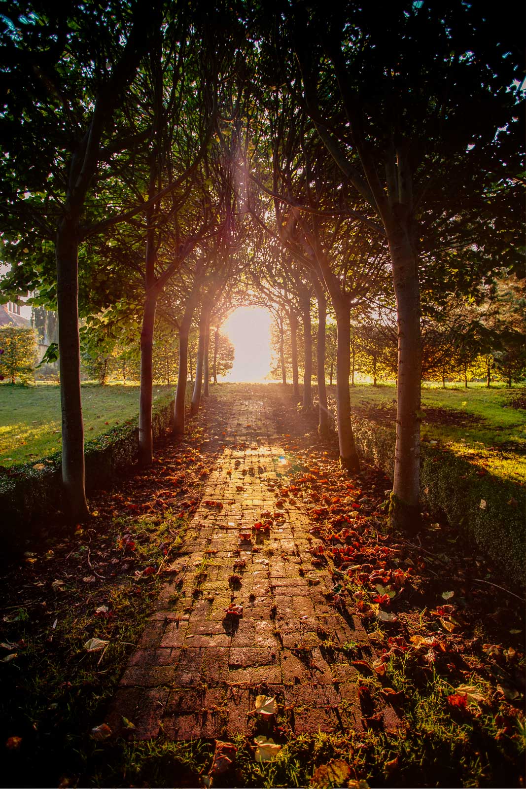 Elsing Hall Gardens