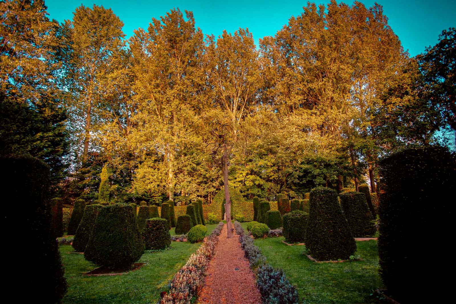 Elsing Hall Gardens