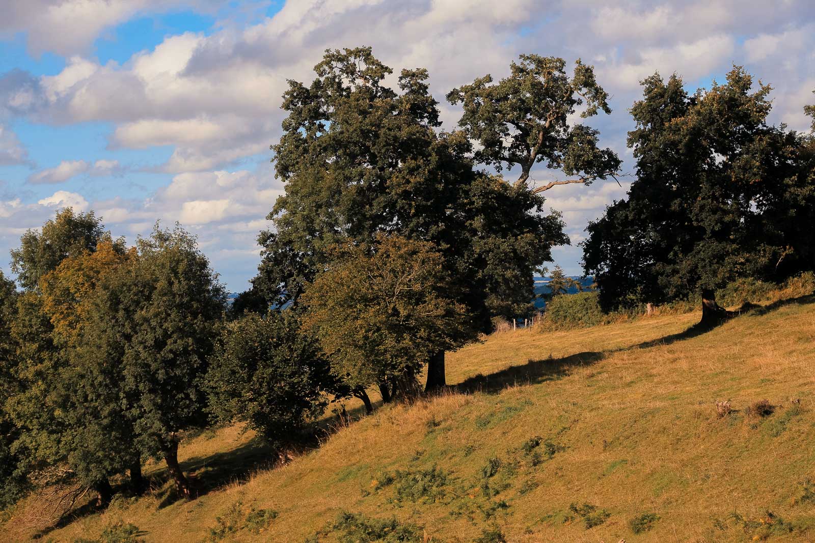 Family Life | Normandy