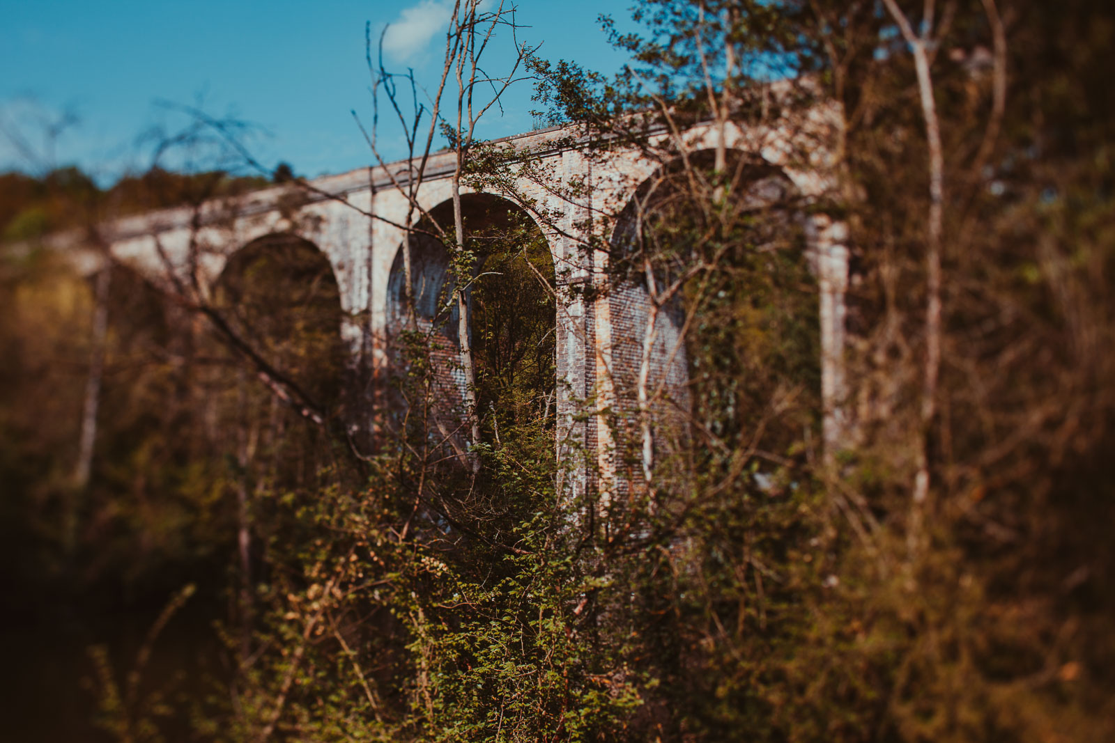 Family Life | Normandy