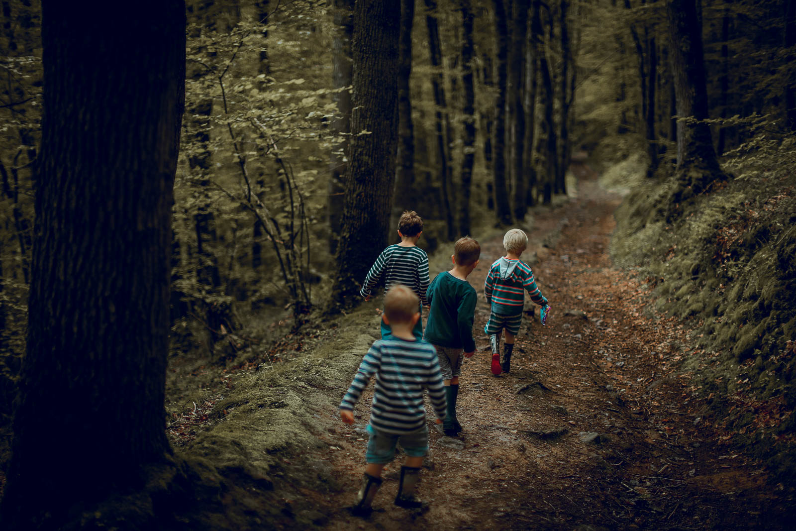 Family Life | Normandy