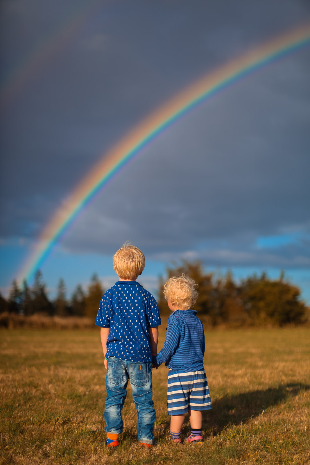 Family Life | Normandy