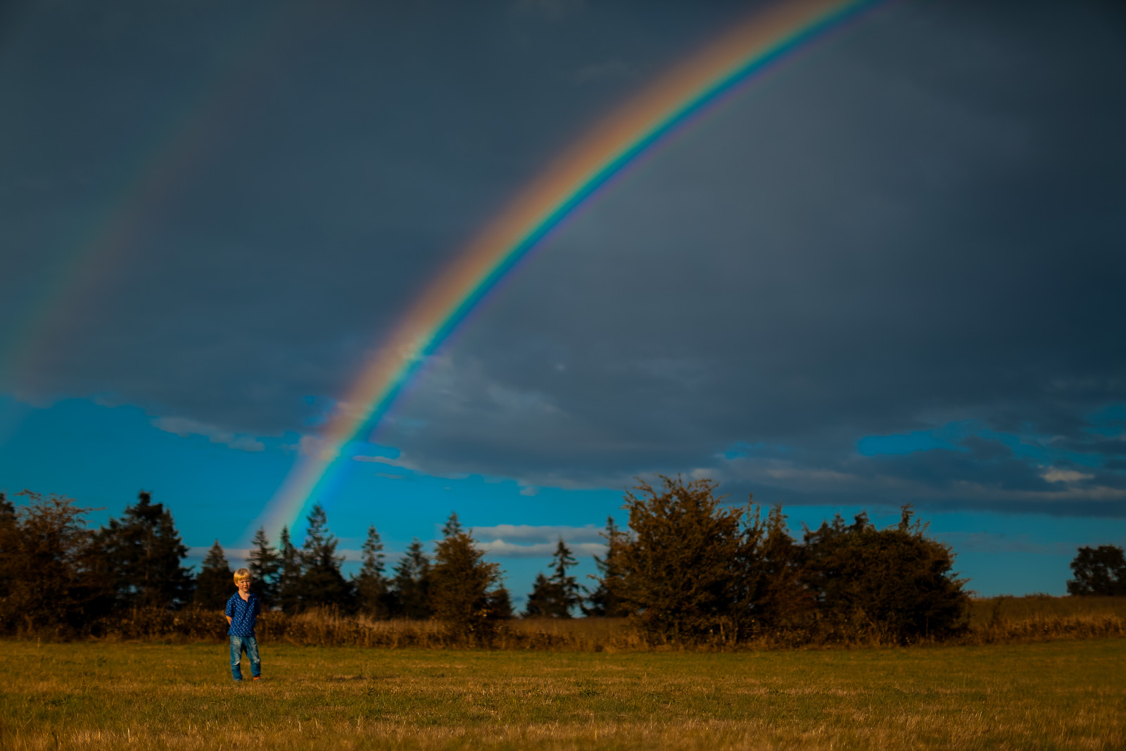 Family Life | Normandy