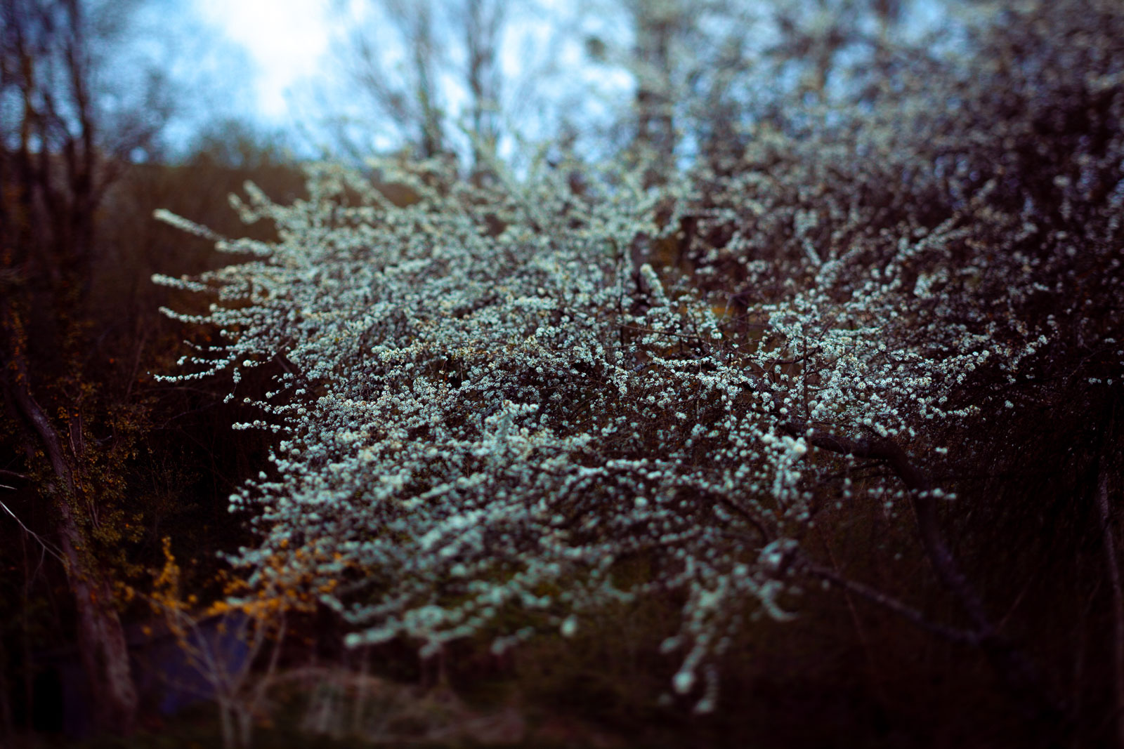 Family Life | Normandy