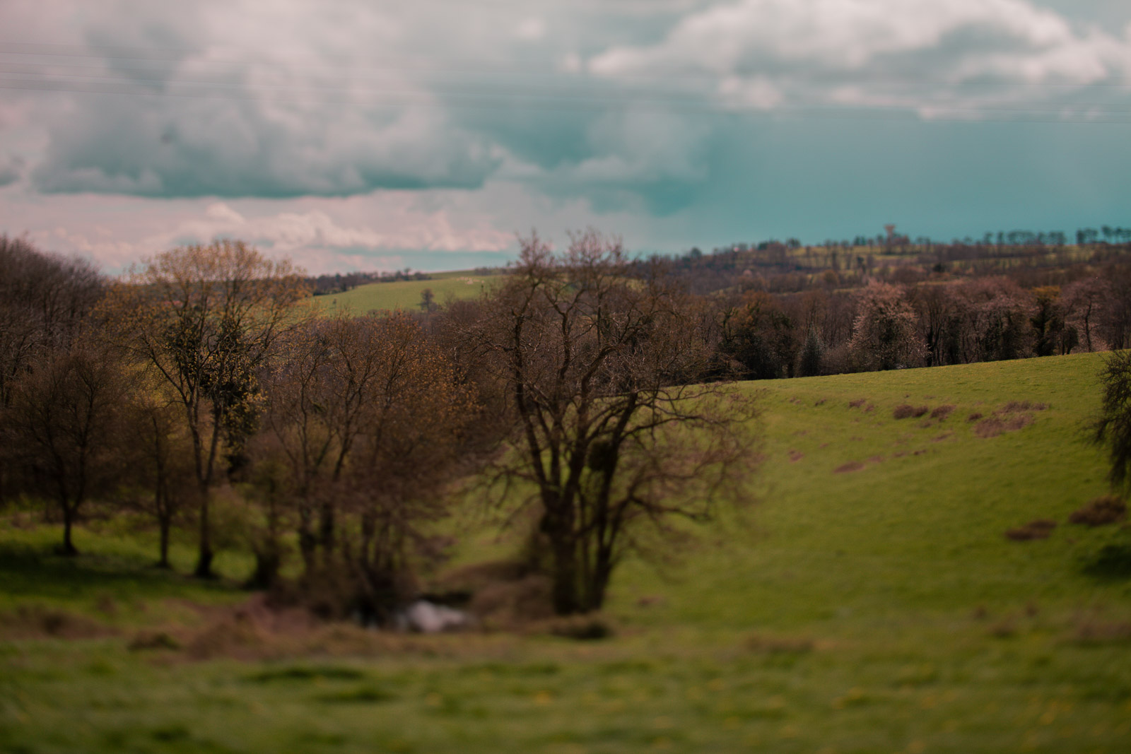 Family Life | Normandy