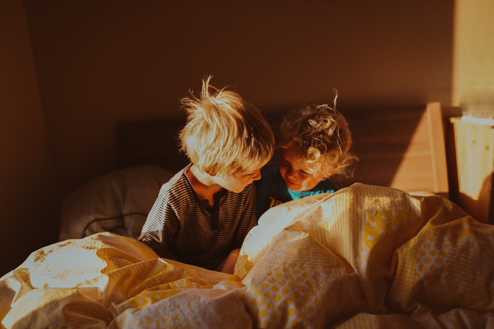 Family Life | Normandy