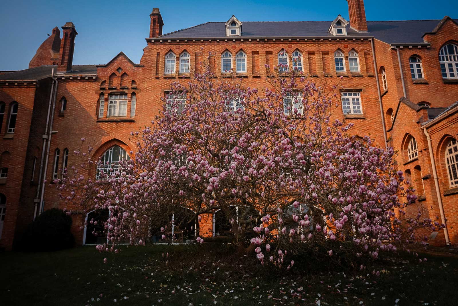 Abbey of Our Lady of Quarr, a monastery on the Isle of Wight