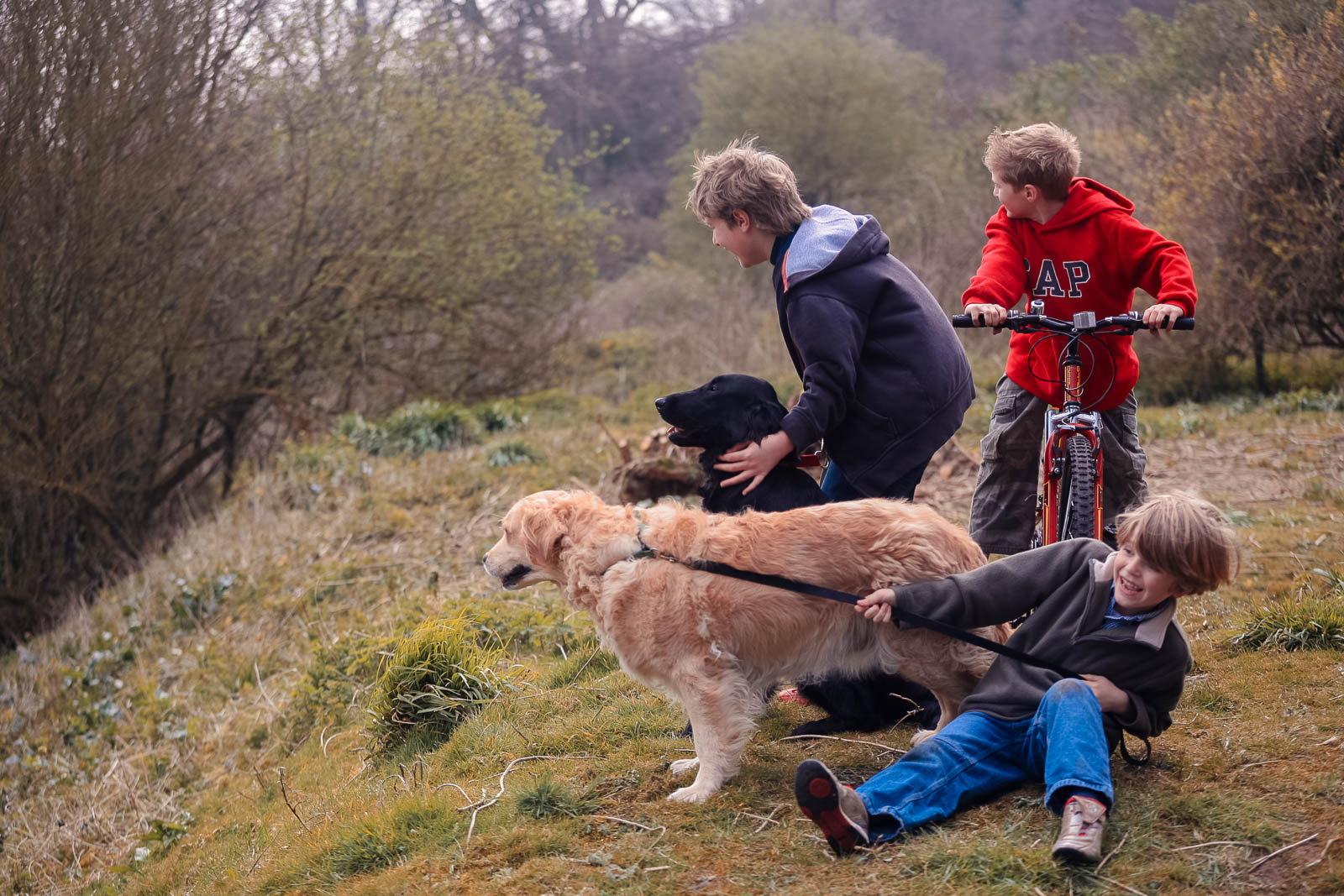 Isle of Wight Campers - Cameron (10yrs) Elliot (8yrs) and Finley (6yrs)