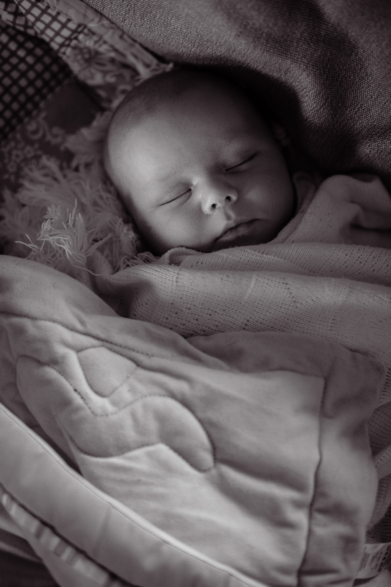 Family Life | Normandy