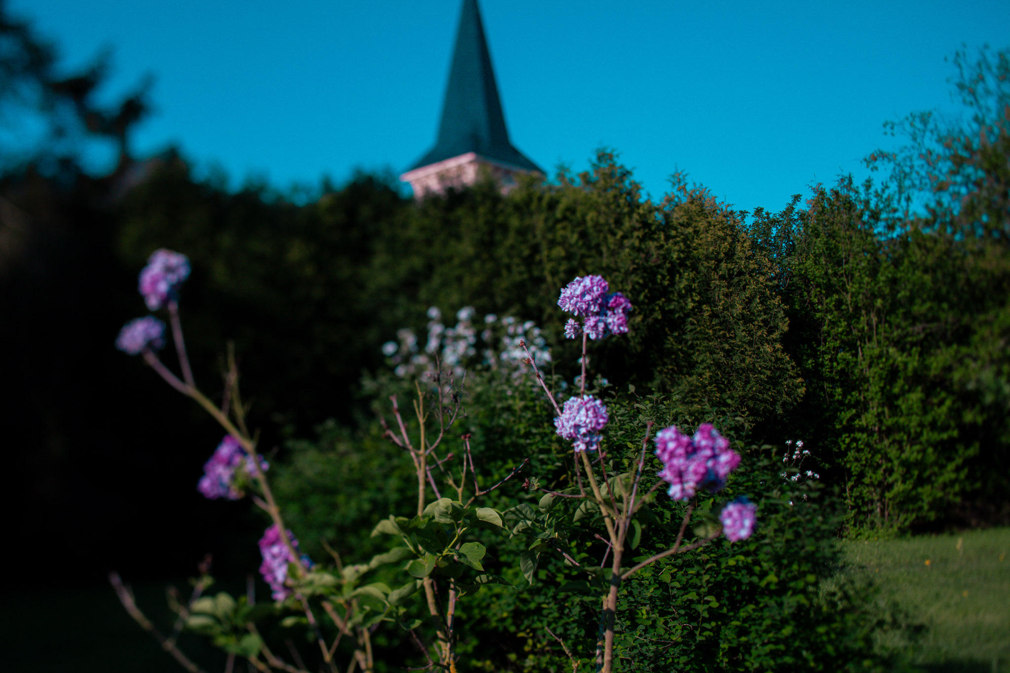 Family Life | Normandy