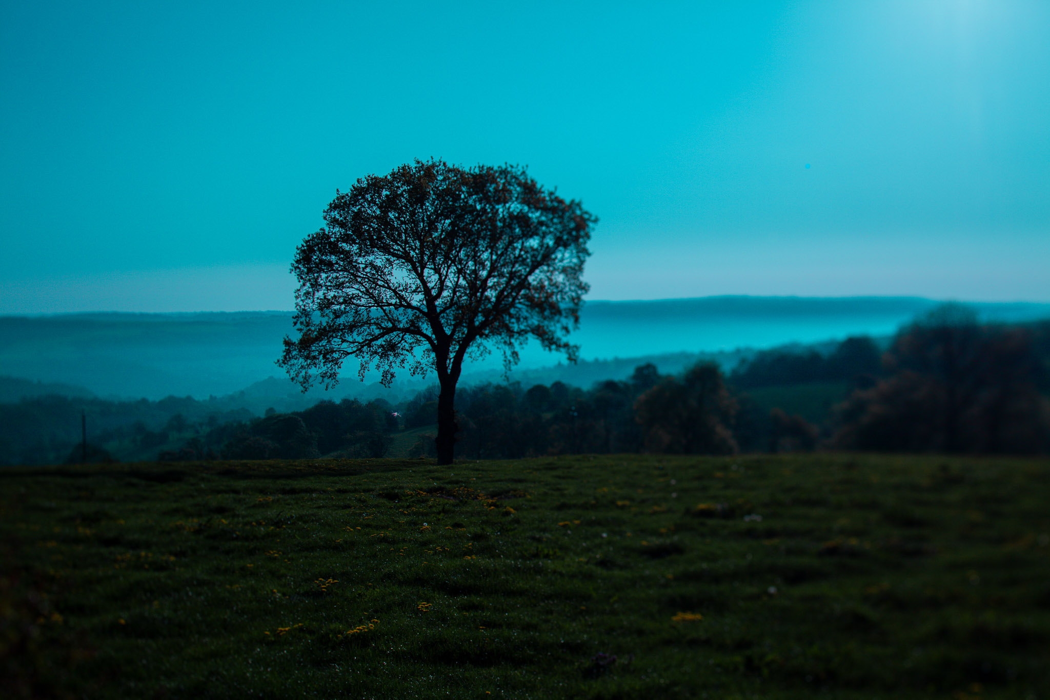 Family Life | Normandy