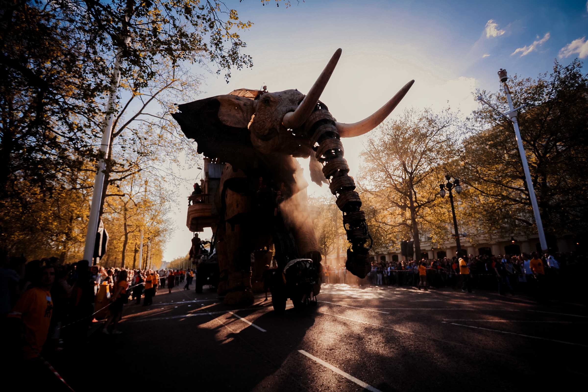 The Sultan's Elephant street theatre event in London